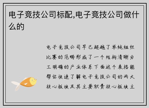 电子竞技公司标配,电子竞技公司做什么的